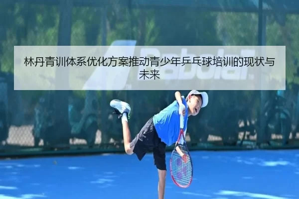 林丹青训体系优化方案推动青少年乒乓球培训的现状与未来