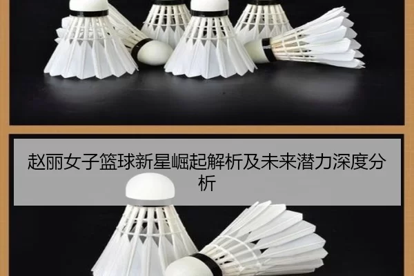 赵丽女子篮球新星崛起解析及未来潜力深度分析